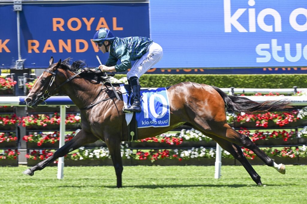 Jockey in teal-green silks riding a brown racehorse with blue number 10 saddle cloth on a grassy track, colorful flower barriers in the background.