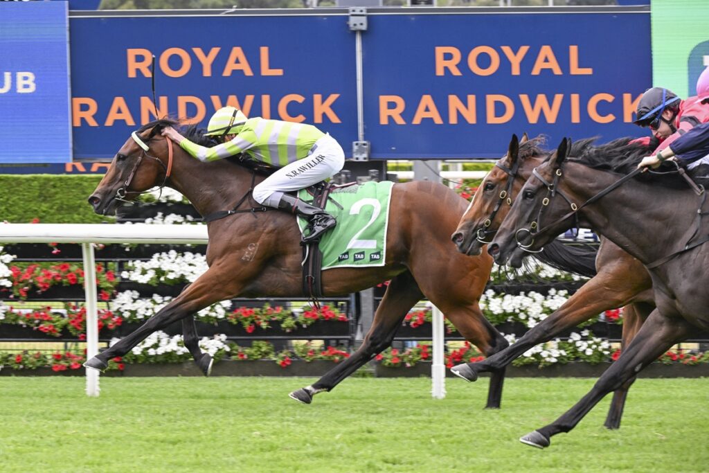Jockey in lime-green striped silks rides a chestnut horse with green bib number 2 during a turf race with spectators and banners in the background.