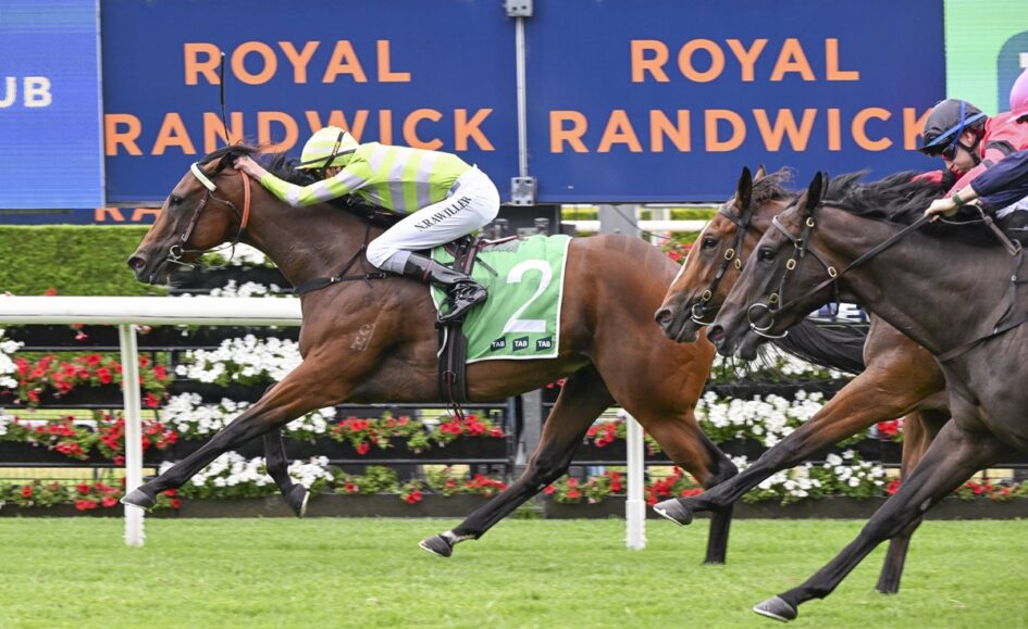 Jockey in lime-green striped silks rides a chestnut horse with green bib number 2 during a turf race with spectators and banners in the background.