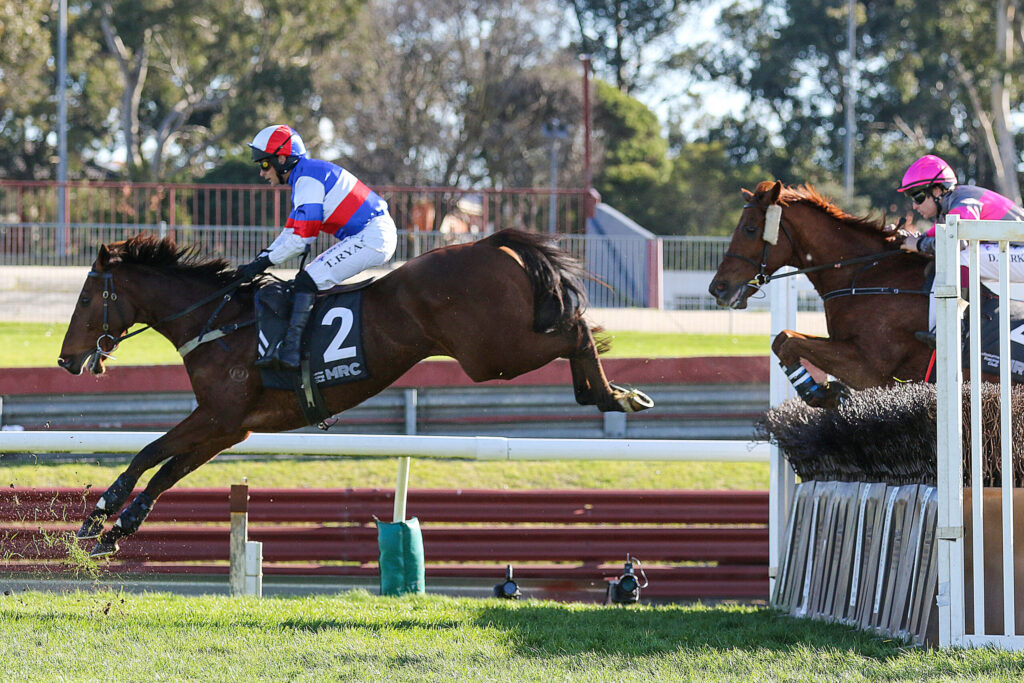 Jockey in blue, white, and red silks rides a bay horse over a hurdle during a race, with another rider in pink nearby in the background.