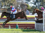 Jockey in blue, white, and red silks rides a bay horse over a hurdle during a race, with another rider in pink nearby in the background.