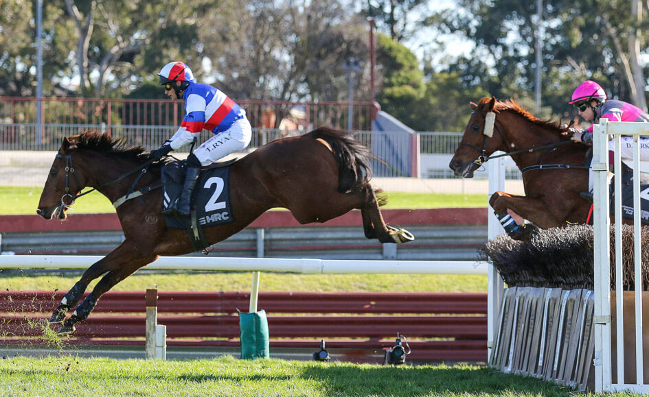 Jockey in blue, white, and red silks rides a bay horse over a hurdle during a race, with another rider in pink nearby in the background.