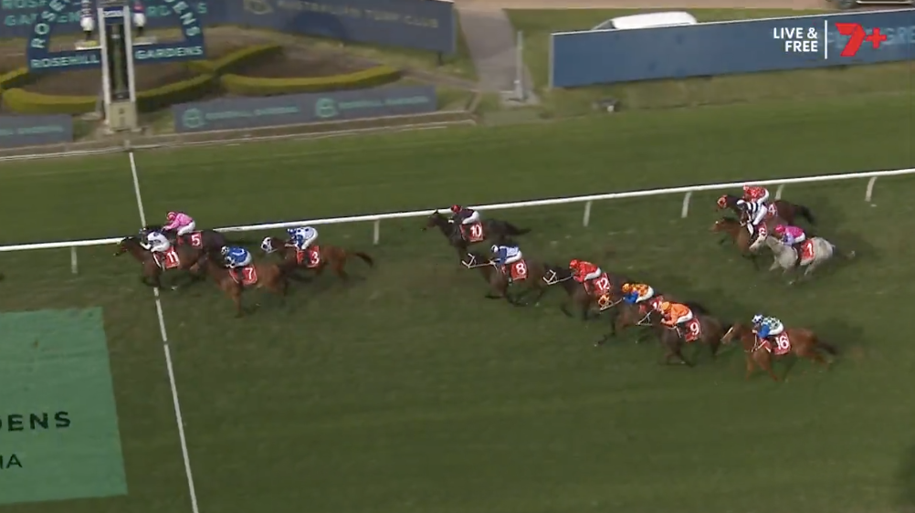 Horse race in progress with a pack of jockeys close together near the finish line on a grassy track.