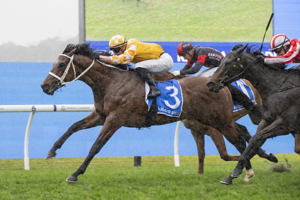 Jockey in yellow and white leads a horse race, blue number 3 saddle cloth visible behind, on a grassy track.