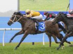 Jockey in yellow and white leads a horse race, blue number 3 saddle cloth visible behind, on a grassy track.