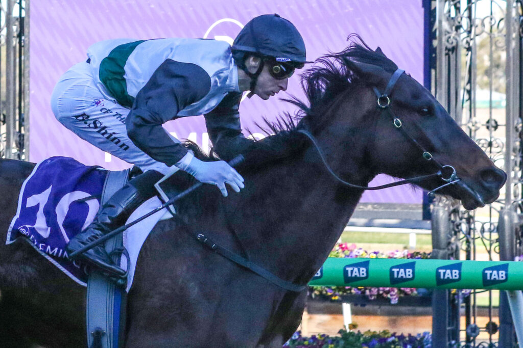 Jockey in blue and gray silks riding a dark horse during a race, leaning forward with goggles on.