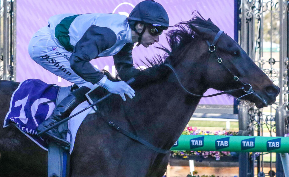Jockey in blue and gray silks riding a dark horse during a race, leaning forward with goggles on.