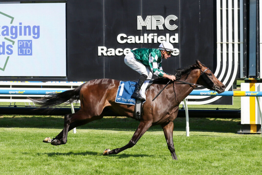 Jockey in green-and-white silks rides a brown horse over a hurdle at Caulfield Racecourse, with banners in the background.