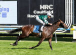 Jockey in green-and-white silks rides a brown horse over a hurdle at Caulfield Racecourse, with banners in the background.