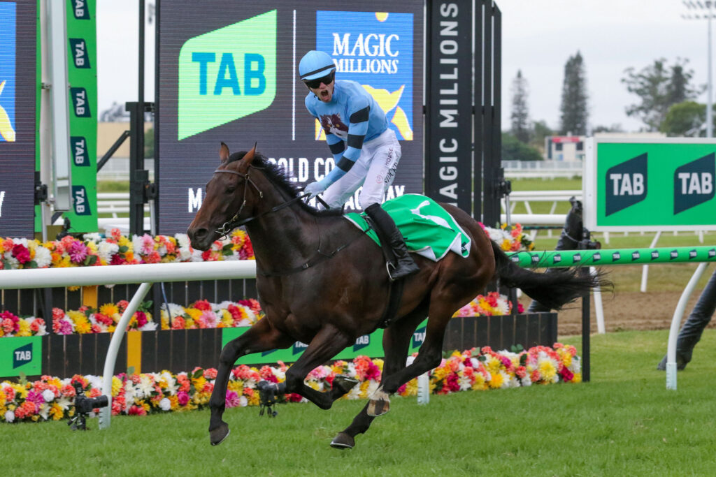 Horse and jockey in blue silks jump over a colorful flower-lined hurdle at a racetrack, with TAB and Magic Millions ads in the background