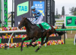 Horse and jockey in blue silks jump over a colorful flower-lined hurdle at a racetrack, with TAB and Magic Millions ads in the background