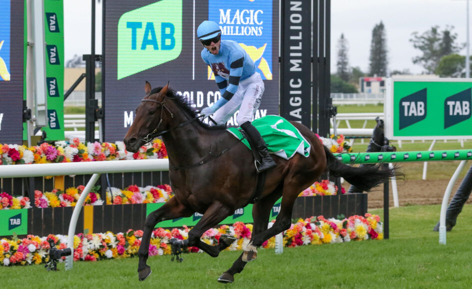 Horse and jockey in blue silks jump over a colorful flower-lined hurdle at a racetrack, with TAB and Magic Millions ads in the background