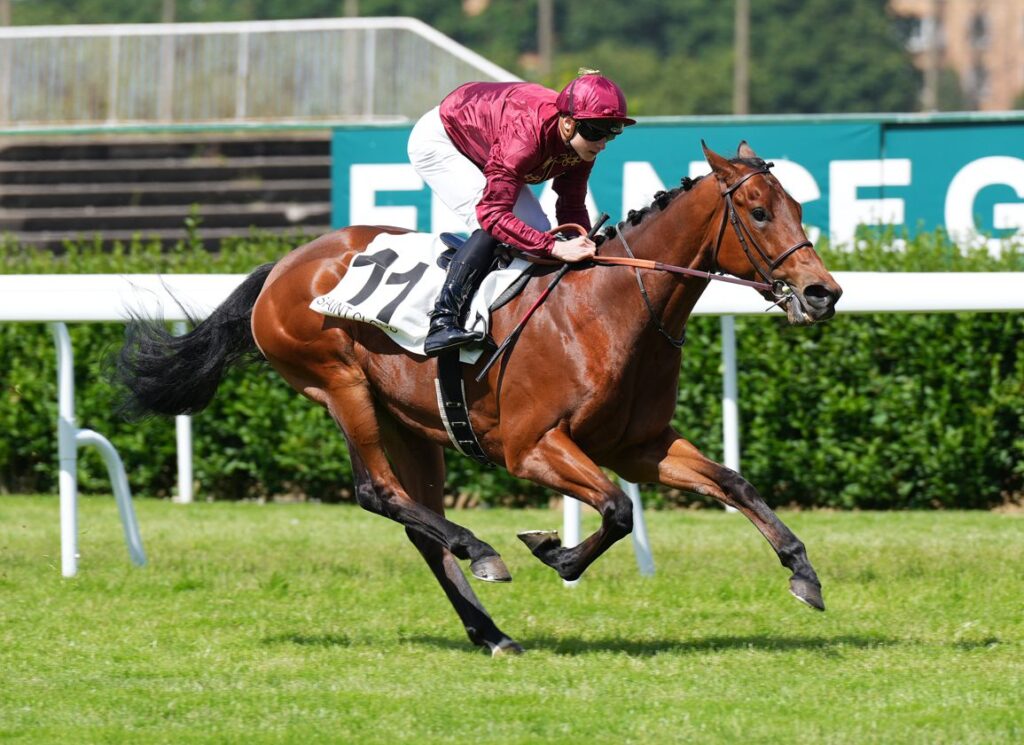 Jockey in maroon silks riding a bay horse at speed on a grass racetrack, saddlecloth number 11.