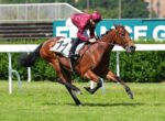 Jockey in maroon silks riding a bay horse at speed on a grass racetrack, saddlecloth number 11.
