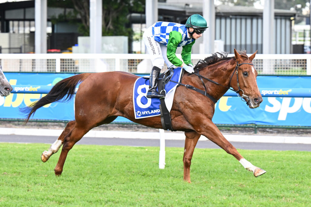 Jockey in blue-and-white checkered silks and green sleeves riding a brown horse mid-race on a turf track.