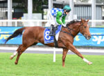 Jockey in blue-and-white checkered silks and green sleeves riding a brown horse mid-race on a turf track.