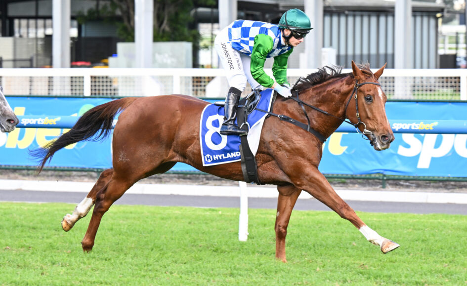 Jockey in blue-and-white checkered silks and green sleeves riding a brown horse mid-race on a turf track.