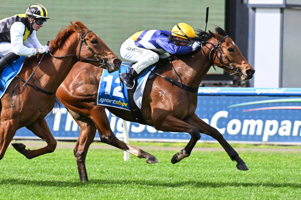 Two jockeys ride racing horses at full gallop on a green track, close together during a finish or mid-race moment - one in yellow/black and the other in blue and white silks.
