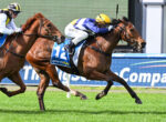 Two jockeys ride racing horses at full gallop on a green track, close together during a finish or mid-race moment - one in yellow/black and the other in blue and white silks.