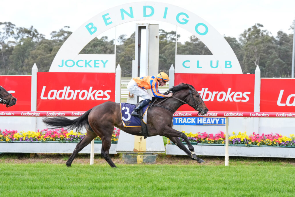 Jockey in orange and blue silks riding a dark horse over a hurdle at a Ladbrokes-sponsored race track.