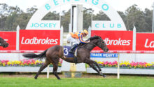 Jockey in orange and blue silks riding a dark horse over a hurdle at a Ladbrokes-sponsored race track.