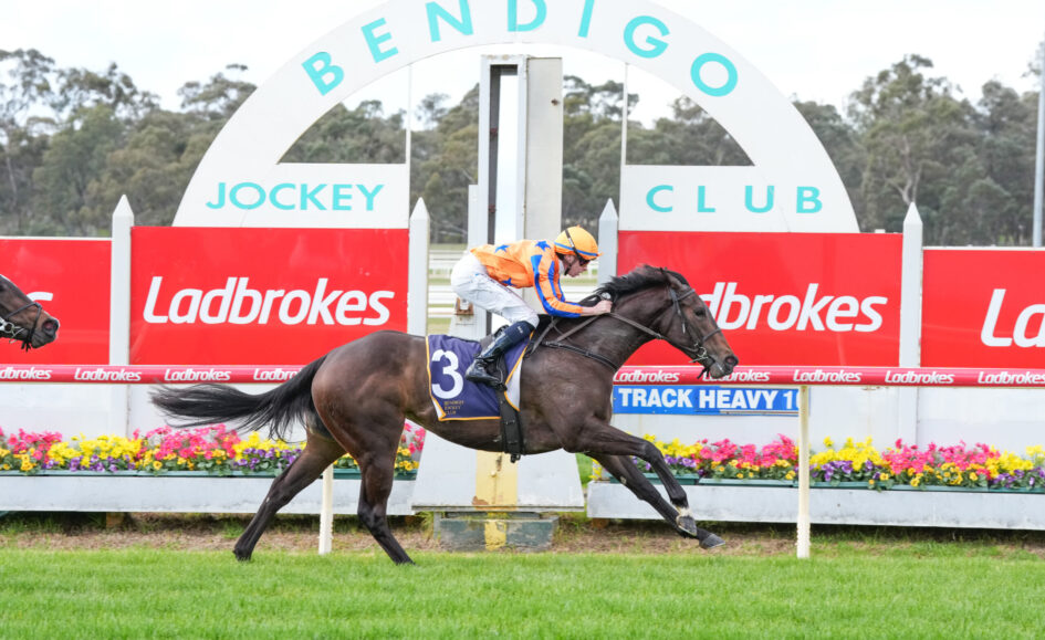 Jockey in orange and blue silks riding a dark horse over a hurdle at a Ladbrokes-sponsored race track.