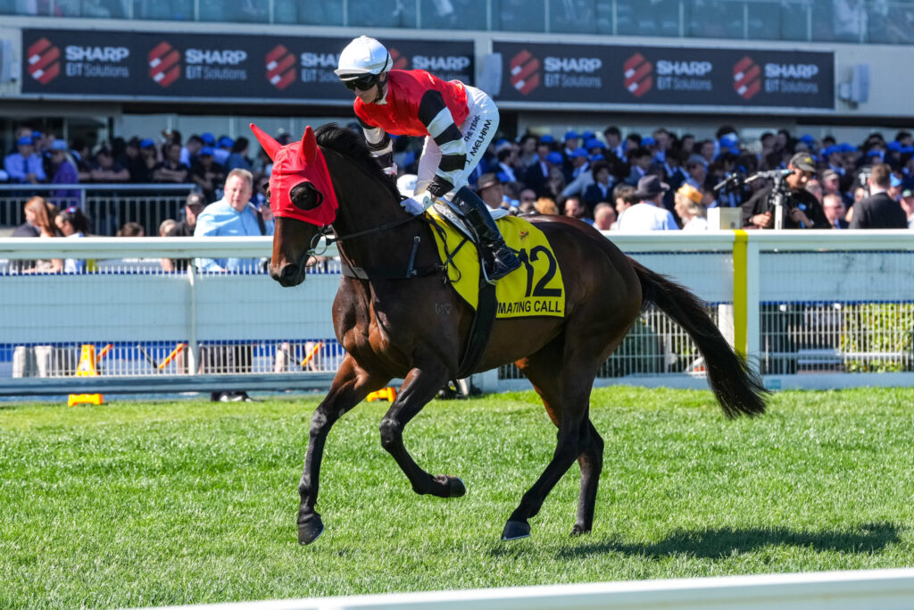 Jockey in red and white silks riding a jumping horse with a yellow race number 12 cloth during a horse race, with spectators in the stands.
