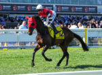 Jockey in red and white silks riding a jumping horse with a yellow race number 12 cloth during a horse race, with spectators in the stands.