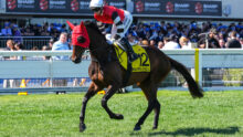 Jockey in red and white silks riding a jumping horse with a yellow race number 12 cloth during a horse race, with spectators in the stands.