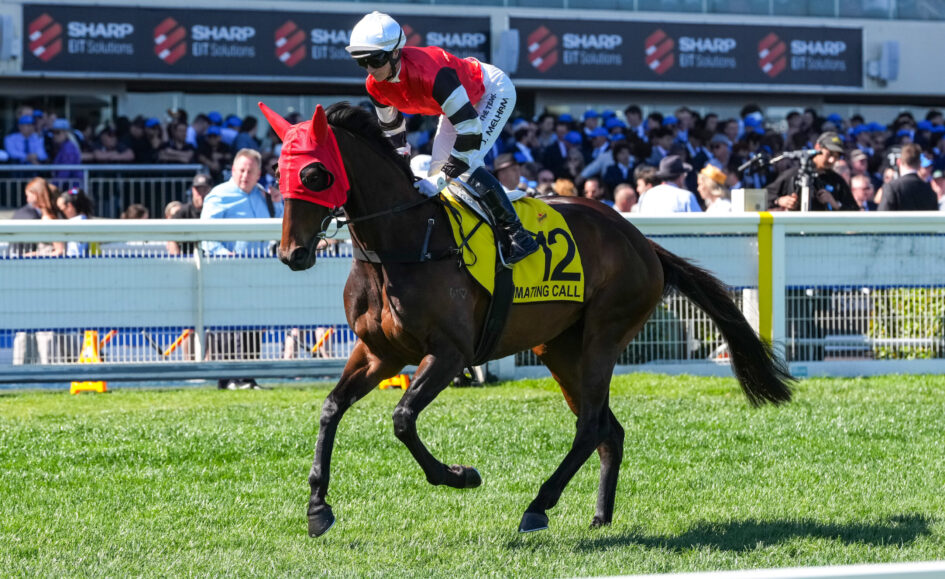 Jockey in red and white silks riding a jumping horse with a yellow race number 12 cloth during a horse race, with spectators in the stands.