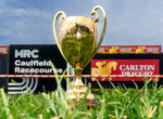 Gold trophy on a podium at a racecourse, with Carlton Draught banners and a blue sky in the background. Grass is in the foreground.