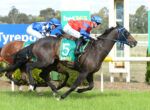 Two jockeys racing on galloping horses during a steeplechase, close to the finish line under a bright sky.