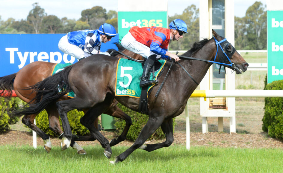 Two jockeys racing on galloping horses during a steeplechase, close to the finish line under a bright sky.
