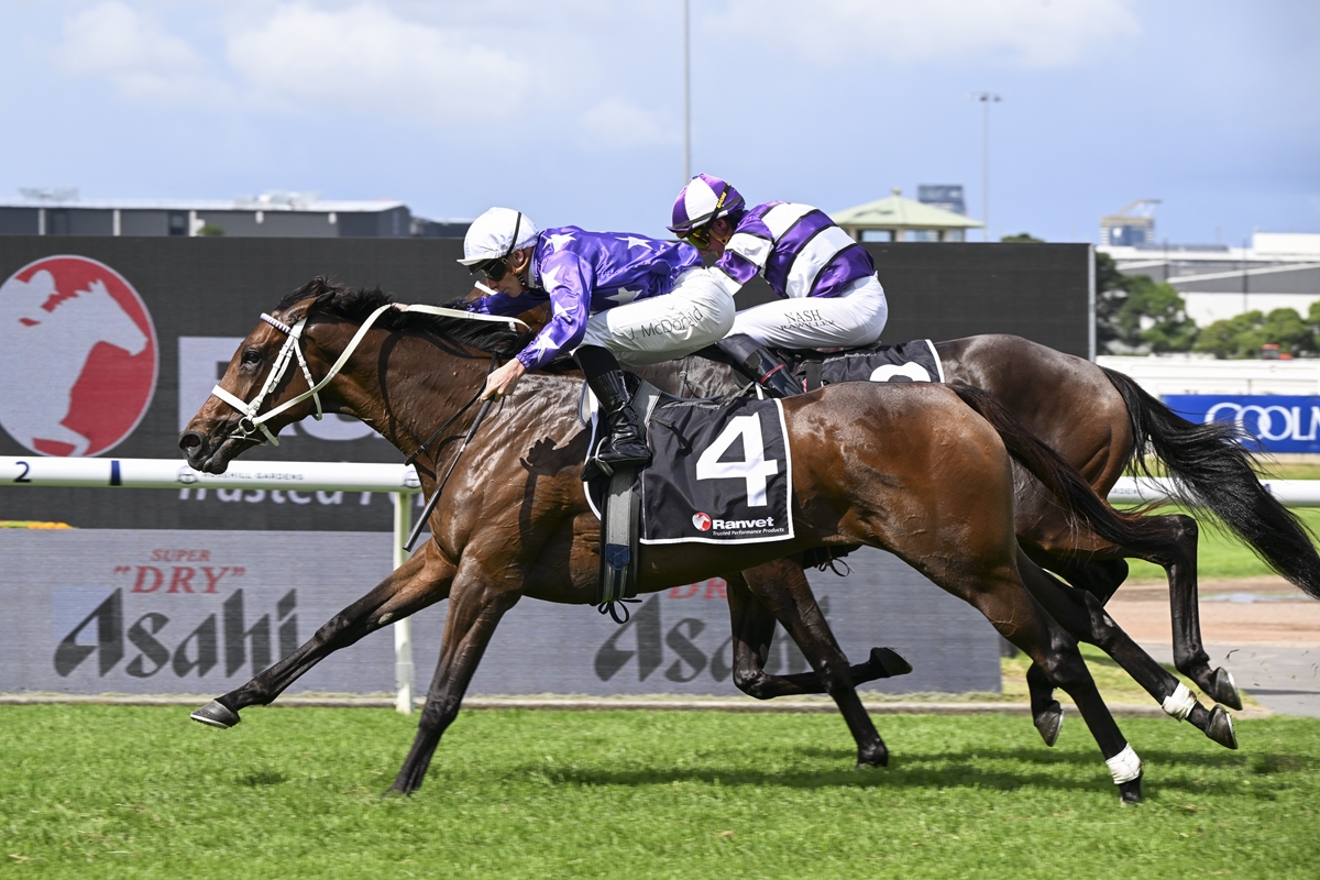 Aeliana’s racing path for 2026 to be decided by draw